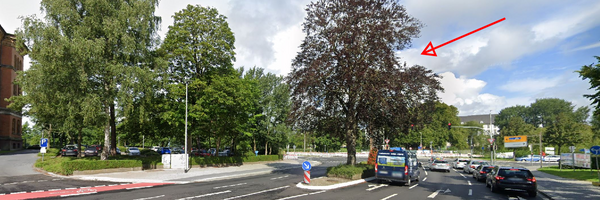 Gottorfstraße mit der Blutbuche auf einer Verkehrsinsel