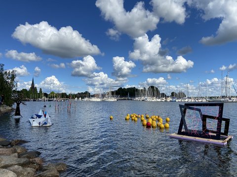 Schwimmende Objekte auf der Schlei