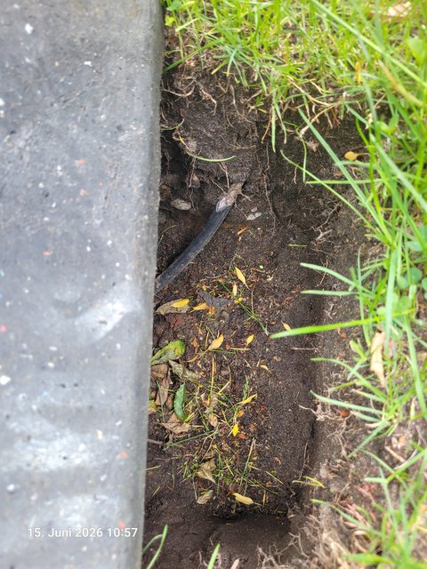 Kaputtes Kabel in der Erde
