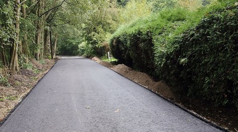 Straßenabschnitt Kreisbahntrasse auf Höhe des Holmer Noorweges.