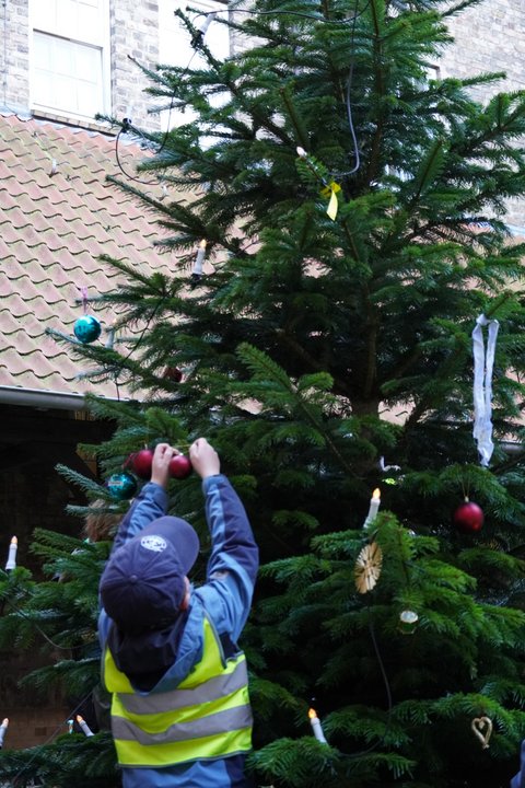 Junge (von hinten zu sehen) schmückt den Weihnachtsbaum im Innenhof des Rathauses