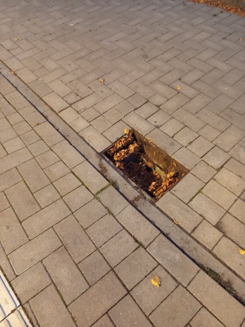 Fehlender Gullydeckel auf gepflastertem Weg