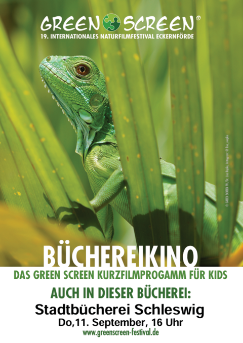 Das Bild zeigt grüne Werbe Plakat für das Greenscreen Festival 2025 mit einem Gecko im Mittelpunkt.
