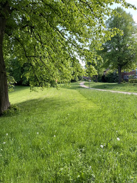 Fußweg in einer Grünanlage im Stadtteil St. Jürgen