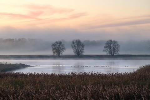 Sonnenaufgang über der in Nebel gehüllten Elbe. 