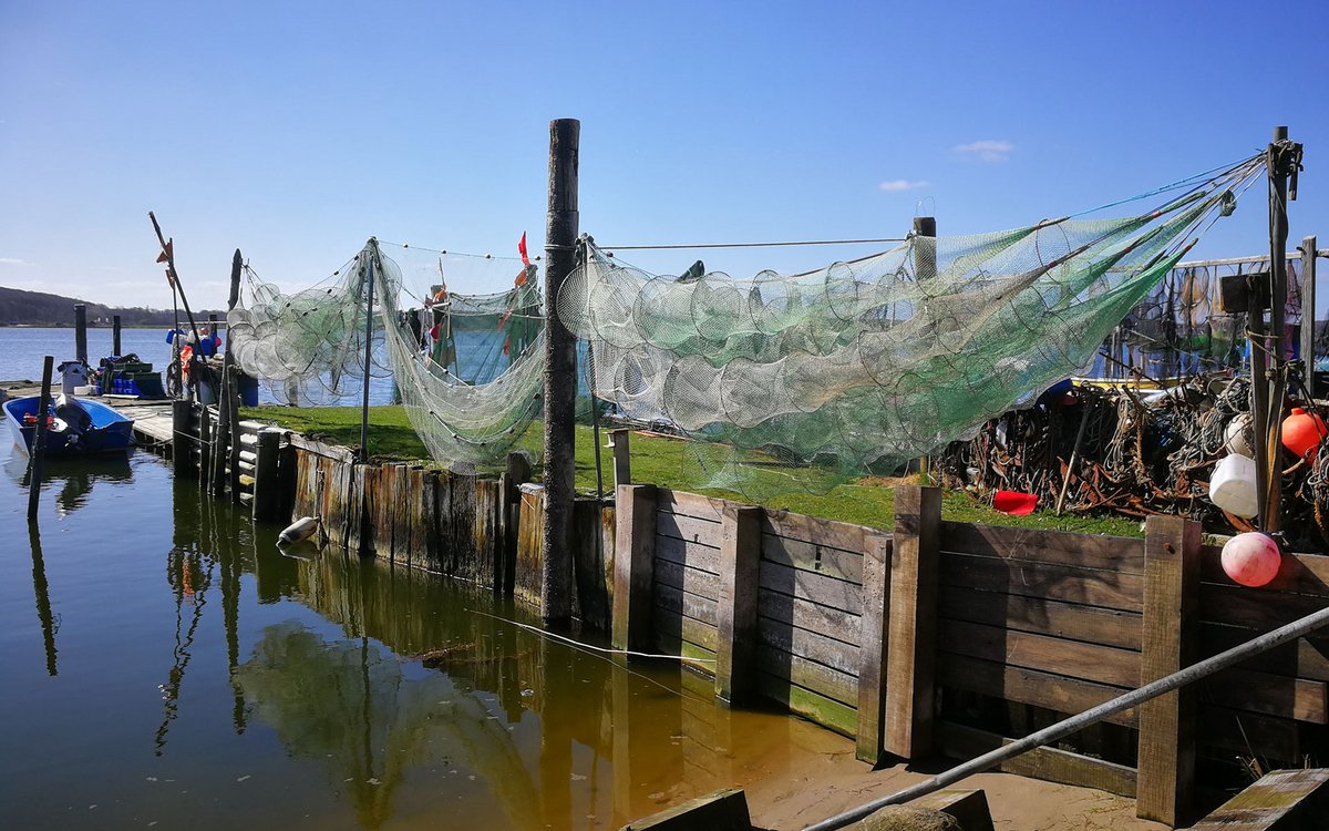 Bild zeigt hängende Fischnetze am Bootssteig