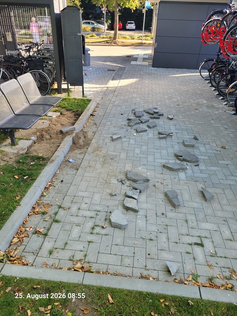 Herausgerissene und zerstörte Gehwegplatten unter einer Sitzbank