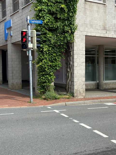 Ampel am Capitolampel mit rotem Wikingersymbol