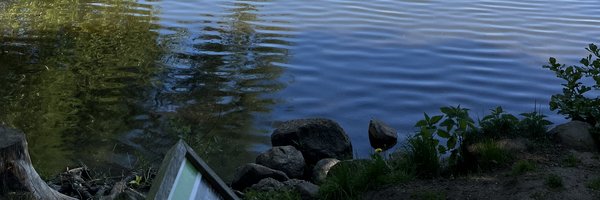 Blick über den Brautsee mit Bäumen umsäumt