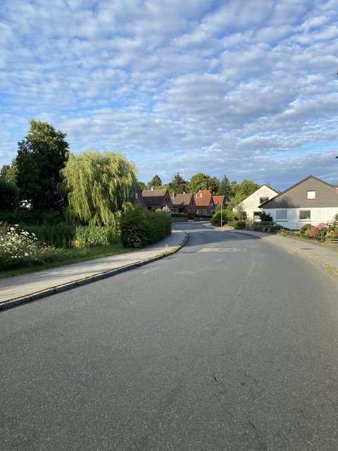 Klosterhofer Straße mit Bäumen und Häusern an beiden Seiten.