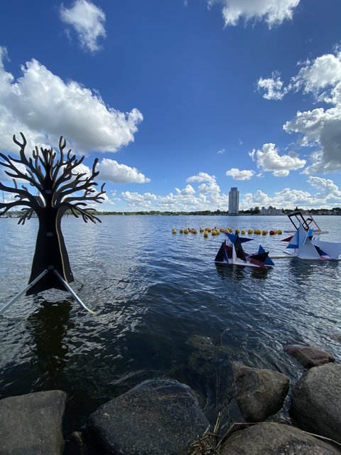 Schwimmende Emojis, kreative Bilderrahmen und Dreiecke sowie ein dreidimensionaler Baum bereichern u. a. die Schlei
