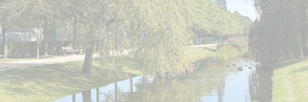 Teaserbild zeigt einen Ausschnitt von den Schleswiger Königswiesen