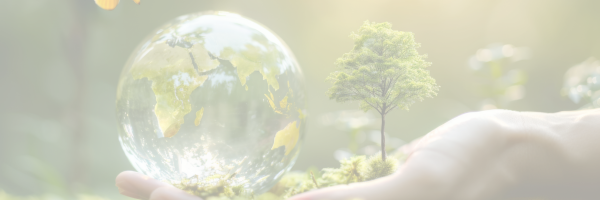Welt in einer Glakugel liegt in einer Hand mit Bäumen im Hintergrund